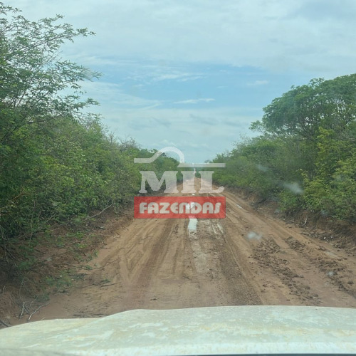 Fazenda 86.000 Hectares Canto do Buriti - PI