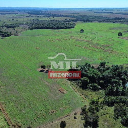 Fazenda 24,6 Alqueires (119,06 hectares) Acréuna - GO