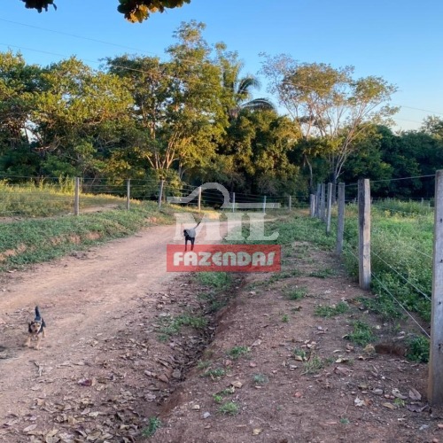 foto do anuncio