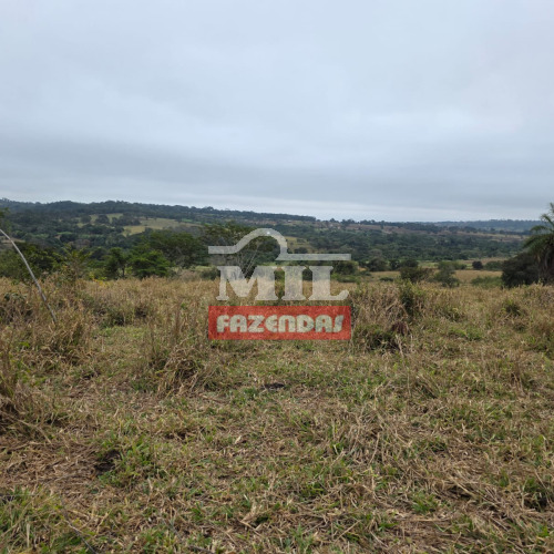 Fazenda de 21,5 alqueires (104 hectares) em Trindade-GO