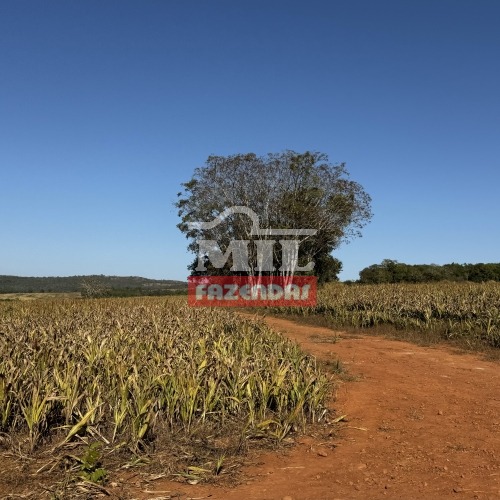 foto do anuncio