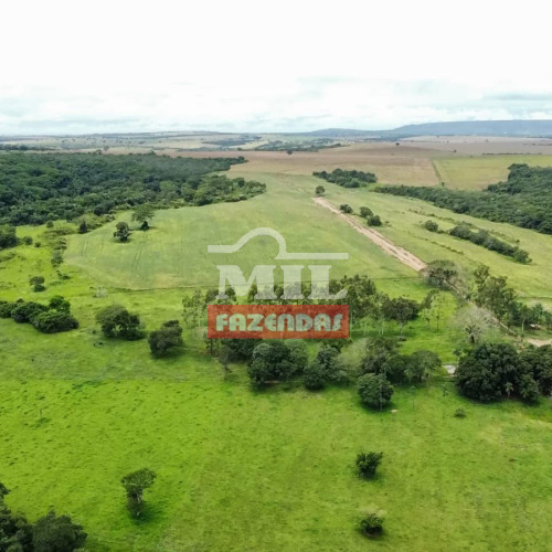 Fazenda 44 Alqueires (212,96 hectares) Caldas Novas - GO
