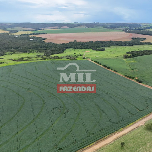 Fazenda 163,8 alqueires (793,16 hectares) Ipameri - Go