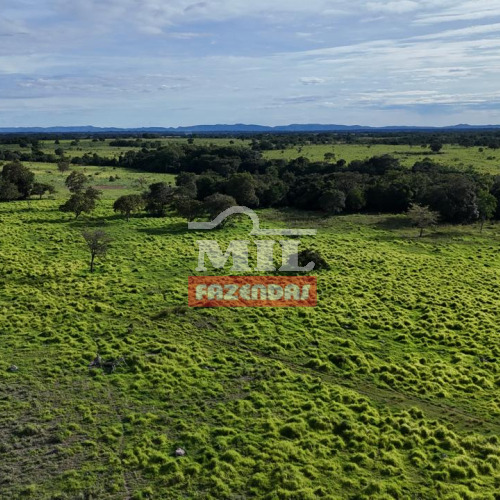 Fazenda 235 alqueires (1.137 hectares) Araguapaz - Go