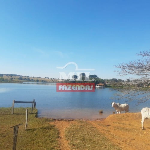 foto do anuncio