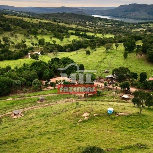 FAZENDA A VENDA 32 ALQUEIRES (154,88 HA) EM CALDAS NOVAS - GO