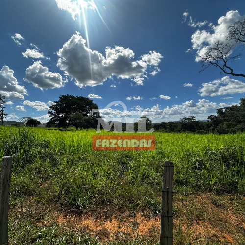 Chacara 1 alqueire ( 4,84 hectares ) Varjão  - GO
