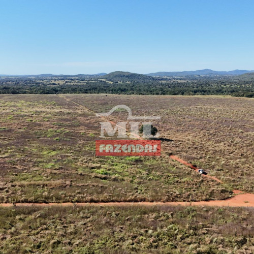 Arrendamento (JA FOI LAVOURA) para lavoura 837 hectares - Vale do Araguaia-GO