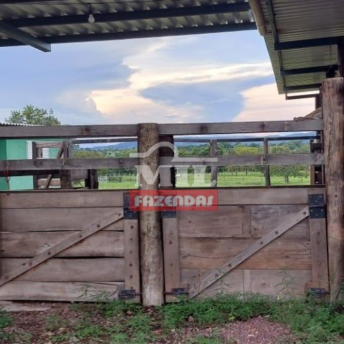 foto do anuncio