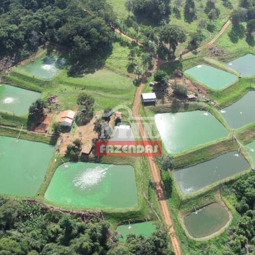 Chácara 5 Alqueires (24,5 hectares) Orizona - GO