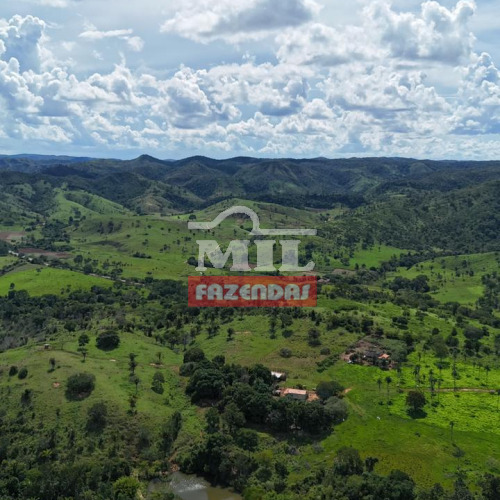 Fazenda 195 Alqueires (943,8 hectares) Campinaçu - GO