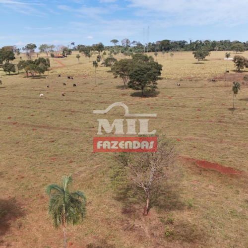 Chácara 5,20 Alqueires (25,17 hectares) Goianira - GO