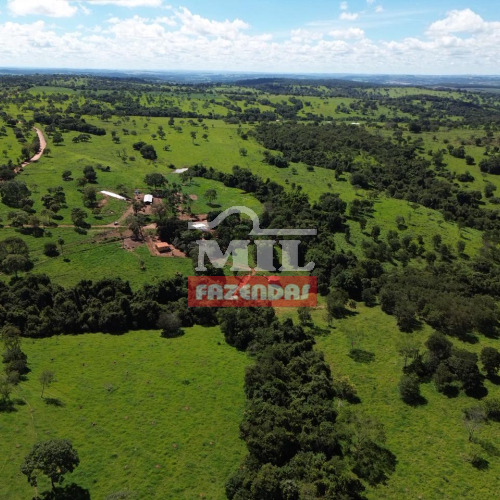 Chácara 9,5 alqueires (46 hectares) Cromínia - Go