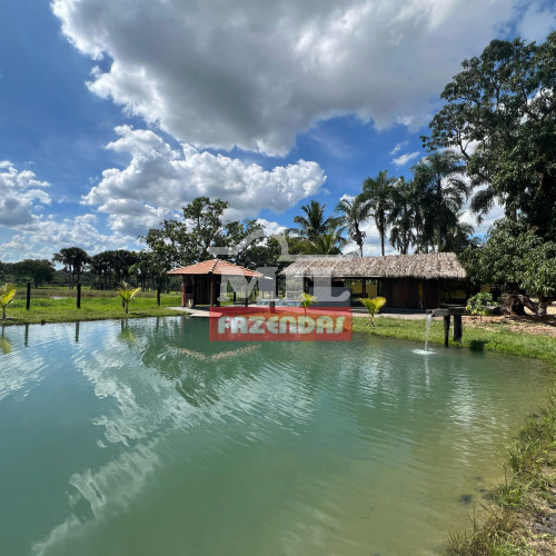 Chácara  5,12 Alqueire (24,78 hectares) Mairipotaba - Go