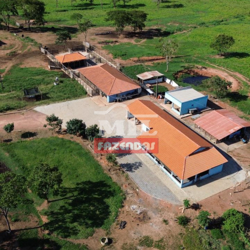 Chácara 11,3 Alqueires (59,6 hectares) Alexânia - GO