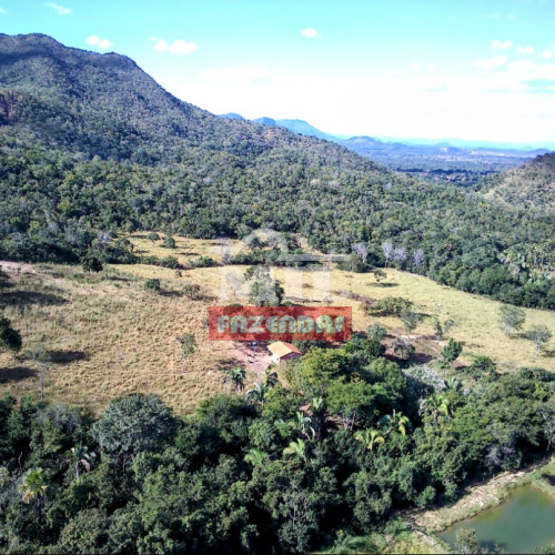 Fazenda com 19 alqueires (93 hectares) em Colinas do Sul - GO