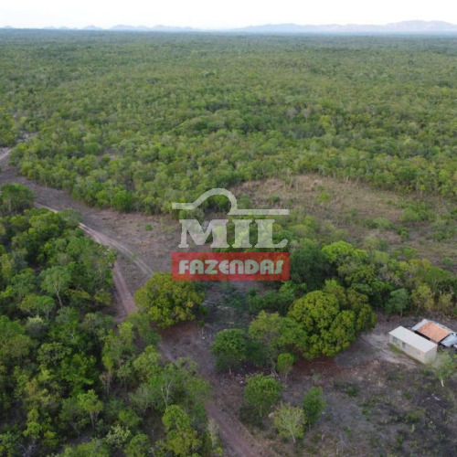 Fazenda 400 Alqueires (1.936 Hectares) Arraias - To
