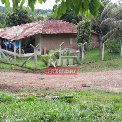 Chácara 9 Alqueires (43,56 Hectares) Goias Velho - GO