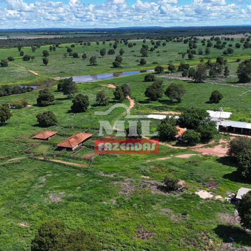 Fazenda 252,4 alqueires (1.222 hectares) Jussara - Go
