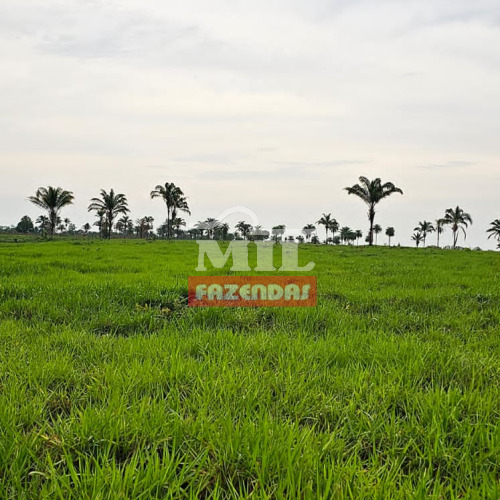 Fazenda 210 Alqueires (1.016 hectares) Araguaína - TO