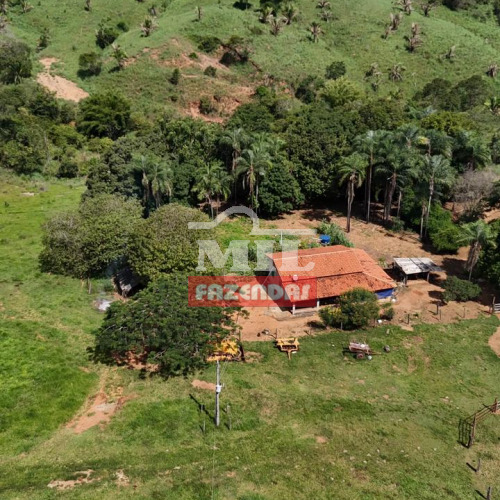 Fazenda 143 Alqueires (692 hectares) Campinaçu - GO