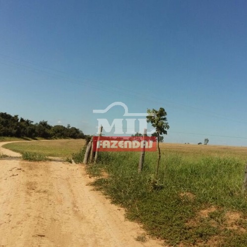 Fazenda em Campo Alegre de Goiás - 95 Alqueires (459 ha)