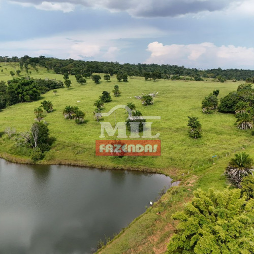 Fazenda 4,68 alqueires ( 22.65 hectares ) Professor Jamil - GO