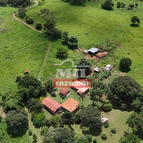 Chácara 6.85 Alqueires (33,157 hectares) Piracanjuba - GO