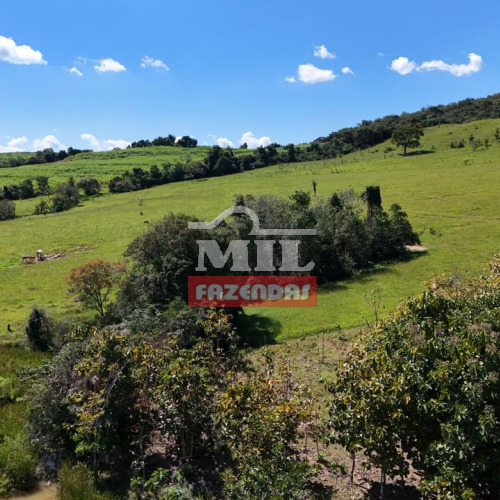 Chacara 6 alqueires (32,70 hectares) Anicuns  - GO
