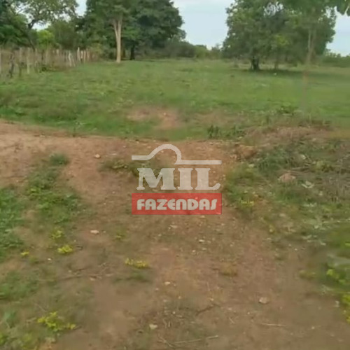 Fazenda 106 alqueires (513,04 hectares) Taipas - TO