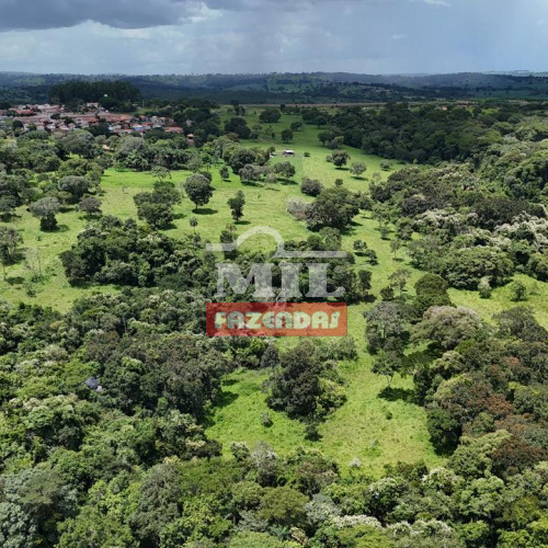 Chácara 4 Alqueires (19,37 hectares) Cromínia - GO