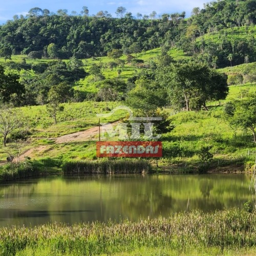 foto do anuncio