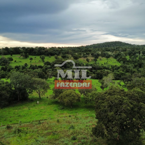 Fazenda 75,5 alqueires (365,42 hectares) Formoso-Go