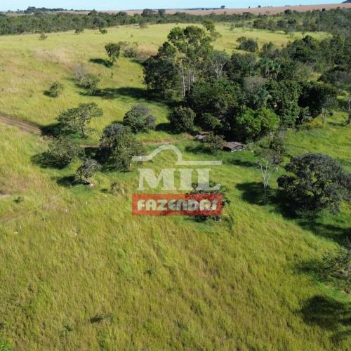 Chácara 4,38 hectares Nerópolis - GO
