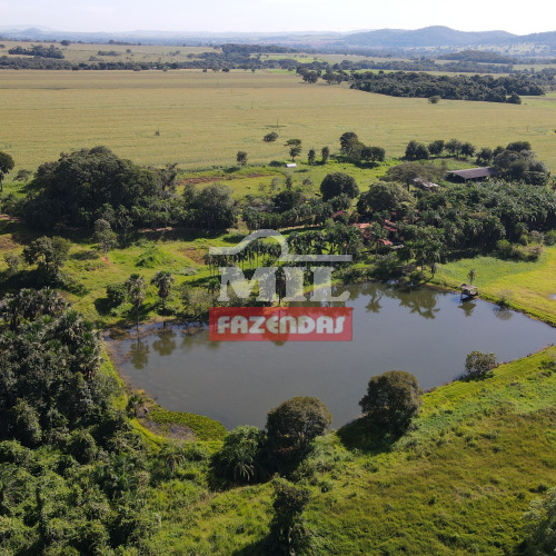 Fazenda 23 Alqueires (111 Hectares) Cezarina - GO