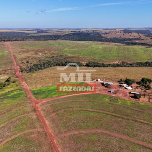 Fazenda 300 Alqueires (1.452 hectares) Doverlândia - GO