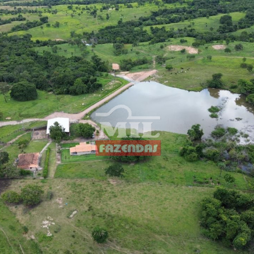 Fazenda 72 Alqueires (348 hectares) Heitoraí - GO