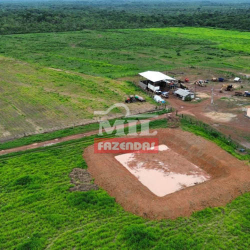 Fazenda 396 Hectares - Caroina (MA)