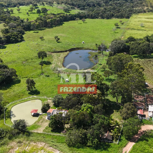 Fazenda 45 alqueires ( 217,8 hectares ) - Vila Propicio - GO