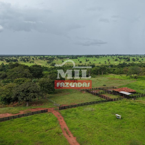 Fazenda 98 alqueires (472 hectares)  Mundo Novo - GO