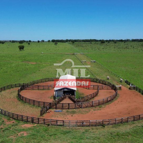 Fazenda 2.000 Hectares Nova Alvorada - MS