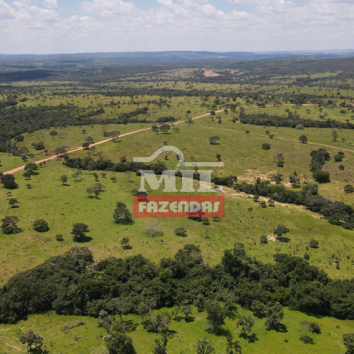 Fazenda 310 alqueires (1.500,4 hectares) Catalão - GO