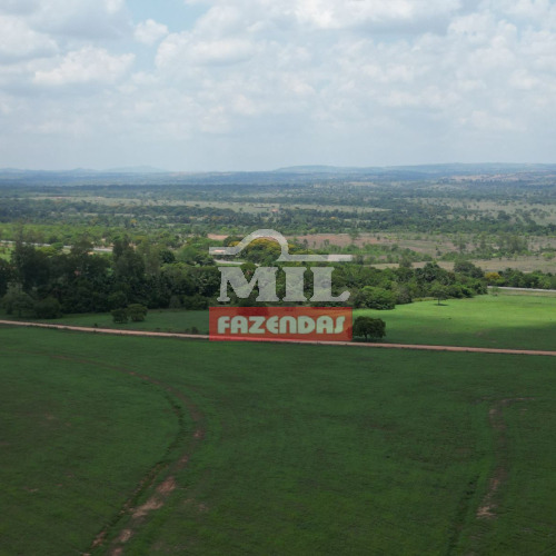 Fazenda 1.700 alqueires (8.228 hectares) Araguaína - To