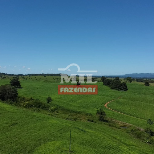 Fazenda 73 Alqueires (353 hectares) Sancrelândia - GO