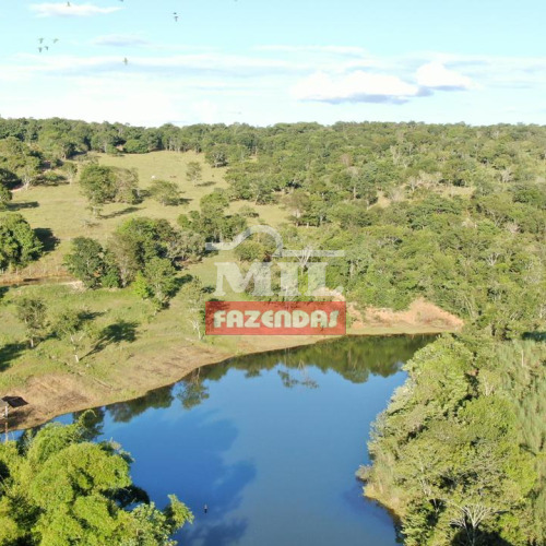 Fazenda 15 Alqueires (72,6 Hectares) Pirenopolis - GO