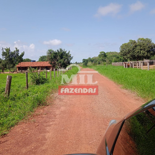 Fazenda 300 Alqueires (1.452 Hectares) Barrolandia  - TO