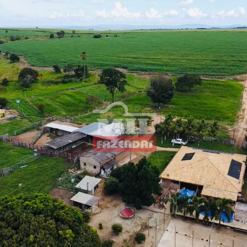 Fazenda 60 Alqueires (290 hectares) Edeia - GO