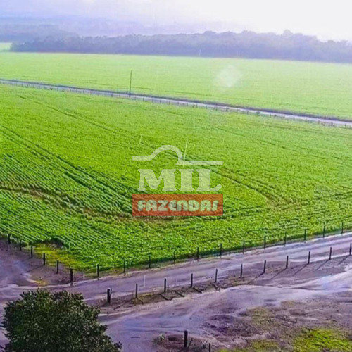 Fazenda 349,5 alqueires (1.691 hectares) Redenção - PA