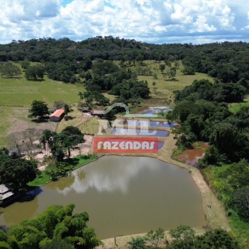 Chácara  8,11 alqueires ( 39,3 hectares ) Petrolina de Goiás - GO