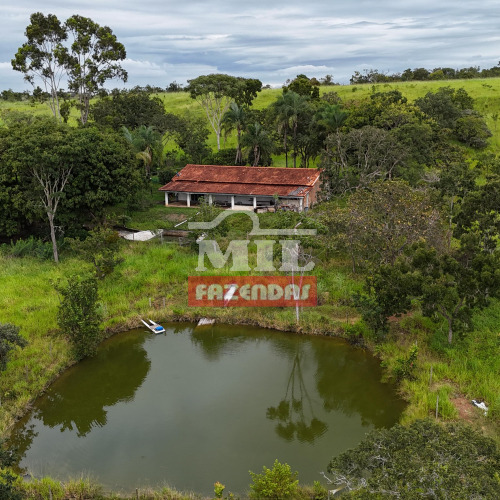Chácara 2,23 Alqueires (10,79 hectares) Cristianopolis - GO